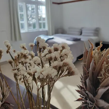 1920S Classic Cozy 2-Bedroom Villa Apartment In Parnell